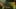 Thumbnail Spiel-Screenshot 1