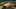 Thumbnail gamescreenshot 3
