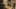Thumbnail Spiel-Screenshot 4