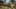 Thumbnail Spiel-Screenshot 5