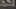 Miniatura da captura de ecrã do jogo 5