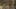 Thumbnail gamescreenshot 5