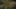 Miniatura da captura de ecrã do jogo 3