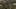 Thumbnail Spiel-Screenshot 2