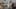 Miniatura de la captura de pantalla del juego 2