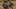 Miniatura de la captura de pantalla del juego 3