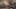 Miniatura de la captura de pantalla del juego 5
