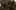 Thumbnail Spiel-Screenshot 2