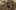 Miniatura de la captura de pantalla del juego 1