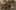 Miniatura de la captura de pantalla del juego 2