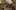 Miniatura de la captura de pantalla del juego 3