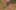 Miniatura de la captura de pantalla del juego 5