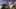 Game screenshot thumbnail 1