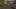 Miniature af spil-screenshot 5