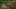Miniature af spil-screenshot 2
