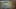 Miniature af spil-screenshot 3