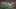 Miniature af spil-screenshot 5