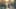 Miniatura de la captura de pantalla del juego 1