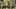 Miniature af spil-screenshot 4
