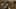 Thumbnail Spiel-Screenshot 2