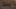 Thumbnail Spiel-Screenshot 5