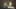 Miniatura de la captura de pantalla del juego 3