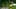 Thumbnail Spiel-Screenshot 5