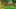 Miniature af spil-screenshot 2