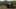 Miniatura screenshot del gioco 4