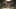 Miniature af spil-screenshot 5