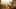 Miniatura de la captura de pantalla del juego 1