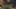 Thumbnail gamescreenshot 1