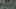 Thumbnail gamescreenshot 2