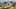 Miniature af spil-screenshot 2