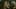 Thumbnail gamescreenshot 1
