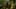 Thumbnail gamescreenshot 2