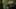 Thumbnail gamescreenshot 3