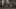 Thumbnail Spiel-Screenshot 5