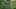 Miniature af spil-screenshot 3