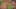 Miniature af spil-screenshot 4