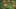 Miniature af spil-screenshot 5