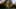 Thumbnail gamescreenshot 3