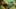 Miniature af spil-screenshot 1