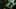 Miniature af spil-screenshot 3