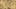 Miniatura da captura de ecrã do jogo 2