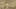 Thumbnail Spiel-Screenshot 1