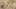 Thumbnail Spiel-Screenshot 3
