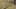 Thumbnail Spiel-Screenshot 4