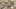 Thumbnail Spiel-Screenshot 3
