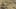 Thumbnail Spiel-Screenshot 5